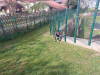 Cistilna-akcija-3